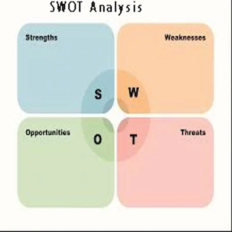 SWOT Analysis 